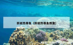 折纸热带鱼（折纸热带鱼教案）