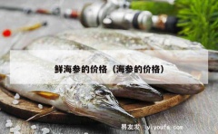 鲜海参的价格（海参的价格）