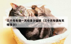 三个月布偶一天吃多少猫粮（三个月布偶每天喂多少）