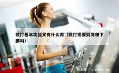 散打基本功竖叉有什么用（散打需要劈叉和下腰吗）