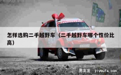 怎样选购二手越野车（二手越野车哪个性价比高）