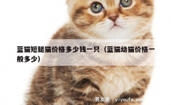 蓝猫短腿猫价格多少钱一只（蓝猫幼猫价格一般多少）