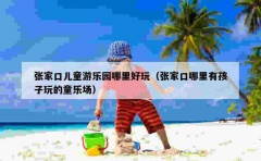 张家口儿童游乐园哪里好玩（张家口哪里有孩子玩的童乐场）