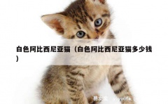 白色阿比西尼亚猫（白色阿比西尼亚猫多少钱）