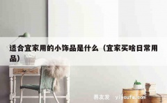 适合宜家用的小饰品是什么（宜家买啥日常用品）