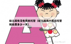 幼儿园有没有周末托管（幼儿园周六周日托管班收费多少一天）