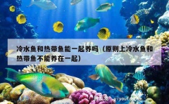 冷水鱼和热带鱼能一起养吗（原则上冷水鱼和热带鱼不能养在一起）