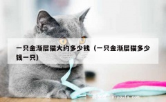 一只金渐层猫大约多少钱（一只金渐层猫多少钱一只）