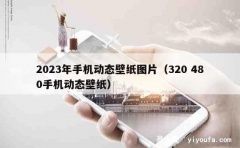 2023年手机动态壁纸图片（320 480手机动态壁纸）