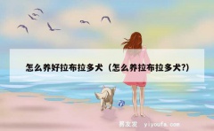 怎么养好拉布拉多犬（怎么养拉布拉多犬?）