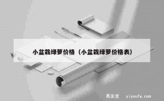 小盆栽绿萝价格（小盆栽绿萝价格表）