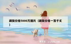 藏獒价格5000万图片（藏獒价格一落千丈）