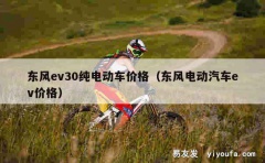 东风ev30纯电动车价格（东风电动汽车ev价格）