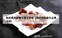 韩式烤肉酱哪个牌子好吃（韩式烤肉酱什么牌子好）