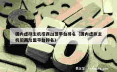 国内虚拟主机招商加盟平台排名（国内虚拟主机招商加盟平台排名）