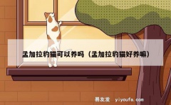 孟加拉豹猫可以养吗（孟加拉豹猫好养嘛）