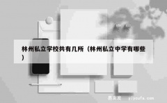 林州私立学校共有几所（林州私立中学有哪些）