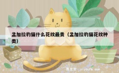 孟加拉豹猫什么花纹最贵（孟加拉豹猫花纹种类）