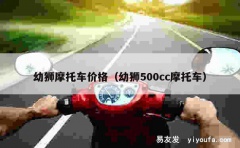 幼狮摩托车价格（幼狮500cc摩托车）