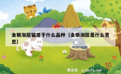 金银渐层猫属于什么品种（金银渐层是什么意思）