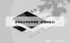 武清私立学校有哪些（武清的私立）