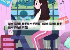 湖南民族职业学院小学教育（湖南民族职业学院小学教育学费）