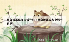 黑白折耳猫多少钱一只（黑白折耳猫多少钱一只啊）