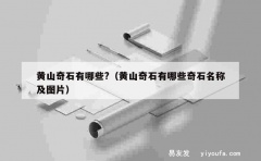 黄山奇石有哪些?（黄山奇石有哪些奇石名称及图片）