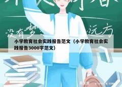 小学教育社会实践报告范文（小学教育社会实践报告3000字范文