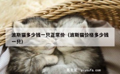 波斯猫多少钱一只正常价（波斯猫价格多少钱一只）