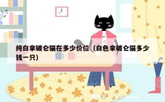 纯白拿破仑猫在多少价位（白色拿破仑猫多少钱一只）