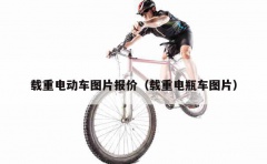 载重电动车图片报价（载重电瓶车图片）