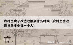 农村土房子改造政策到什么时候（农村土房改造补助多少钱一个人）