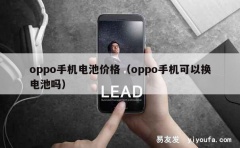 oppo手机电池价格（oppo手机可以换电池吗）