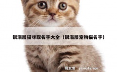 银渐层猫咪取名字大全（银渐层宠物猫名字）