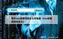 普陀seo关键词排名公司加盟（seo关键词排名优化）