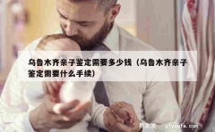 乌鲁木齐亲子鉴定需要多少钱（乌鲁木齐亲子鉴定需要什么手续）