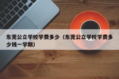 东莞公立学校学费多少（东莞公立学校学费多少钱一学期）