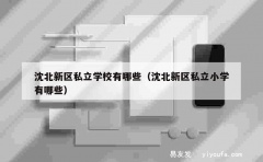 沈北新区私立学校有哪些（沈北新区私立小学有哪些）