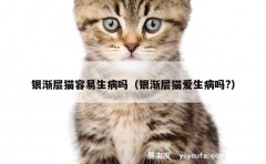 银渐层猫容易生病吗（银渐层猫爱生病吗?）