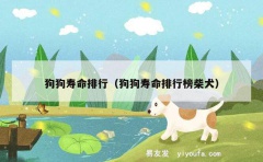 狗狗寿命排行（狗狗寿命排行榜柴犬）