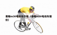 易咖m30电动车价格（易咖m30电动车报价）