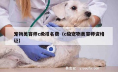 宠物美容师c级报名费（c级宠物美容师资格证）