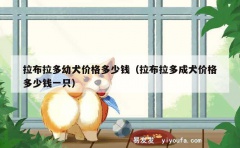 拉布拉多幼犬价格多少钱（拉布拉多成犬价格多少钱一只）