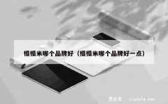 榻榻米哪个品牌好（榻榻米哪个品牌好一点）