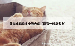 蓝猫成猫卖多少钱合适（蓝猫一般卖多少）