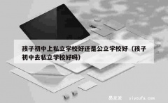 孩子初中上私立学校好还是公立学校好（孩子初中去私立学校好吗）