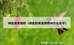 绿色虎皮鹦鹉（绿色的虎皮鹦鹉叫什么名字）