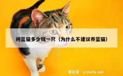 纯蓝猫多少钱一只（为什么不建议养蓝猫）