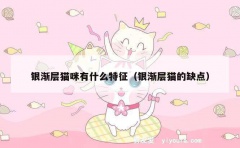 银渐层猫咪有什么特征（银渐层猫的缺点）